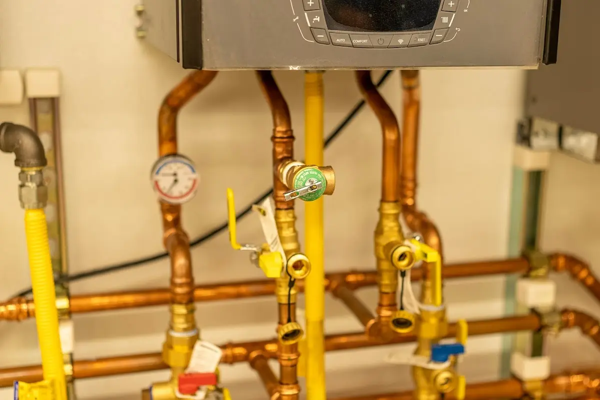 Licensed technician providing Emergency Plumbing for a homeowner in Delavan